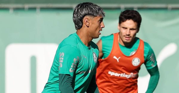 Vitória x Palmeiras: veja possível escalação com 1 reforço