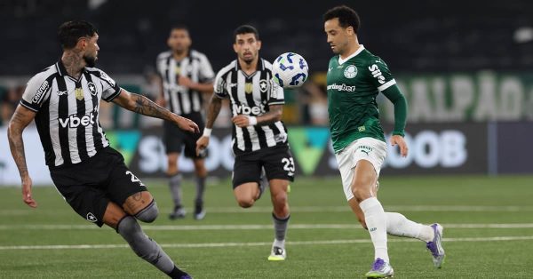 Vídeo: melhores momentos de Botafogo 0 x 1 Palmeiras