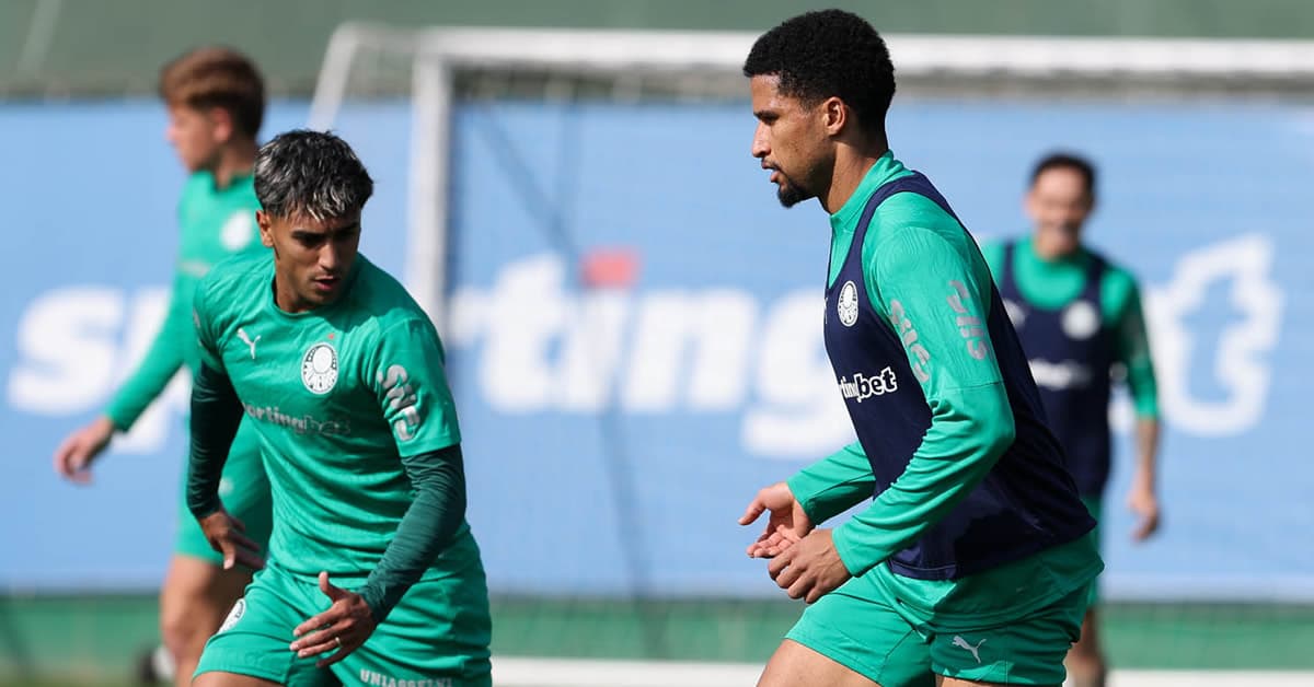 Botafogo x Palmeiras: veja possível escalação com força máxima