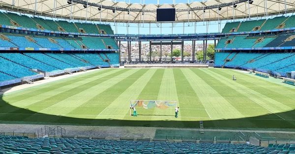 Bahia x Palmeiras: comente o jogo aqui