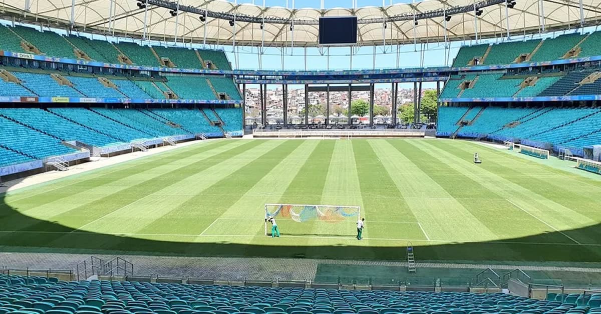 Bahia x Palmeiras: comente o jogo aqui