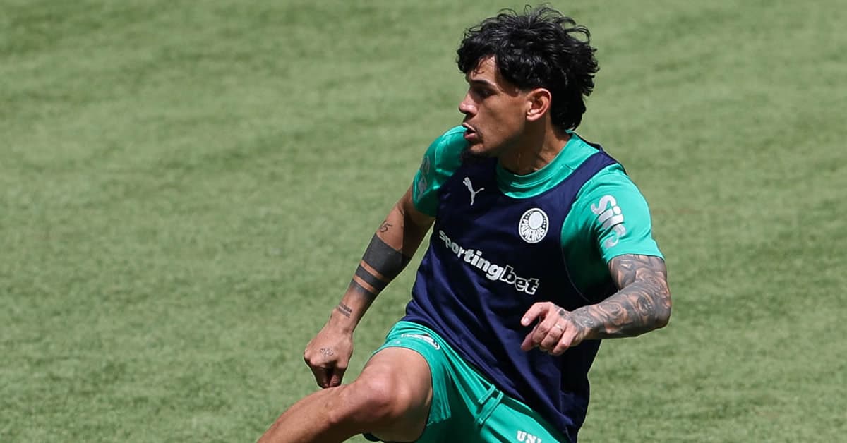 Gómez elogia Internacional e vê Palmeiras pronto para sequência decisiva