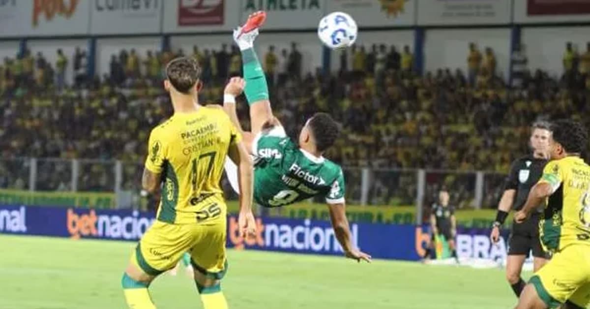 Coluna Catedral de Luz Galope Peregrino PTD