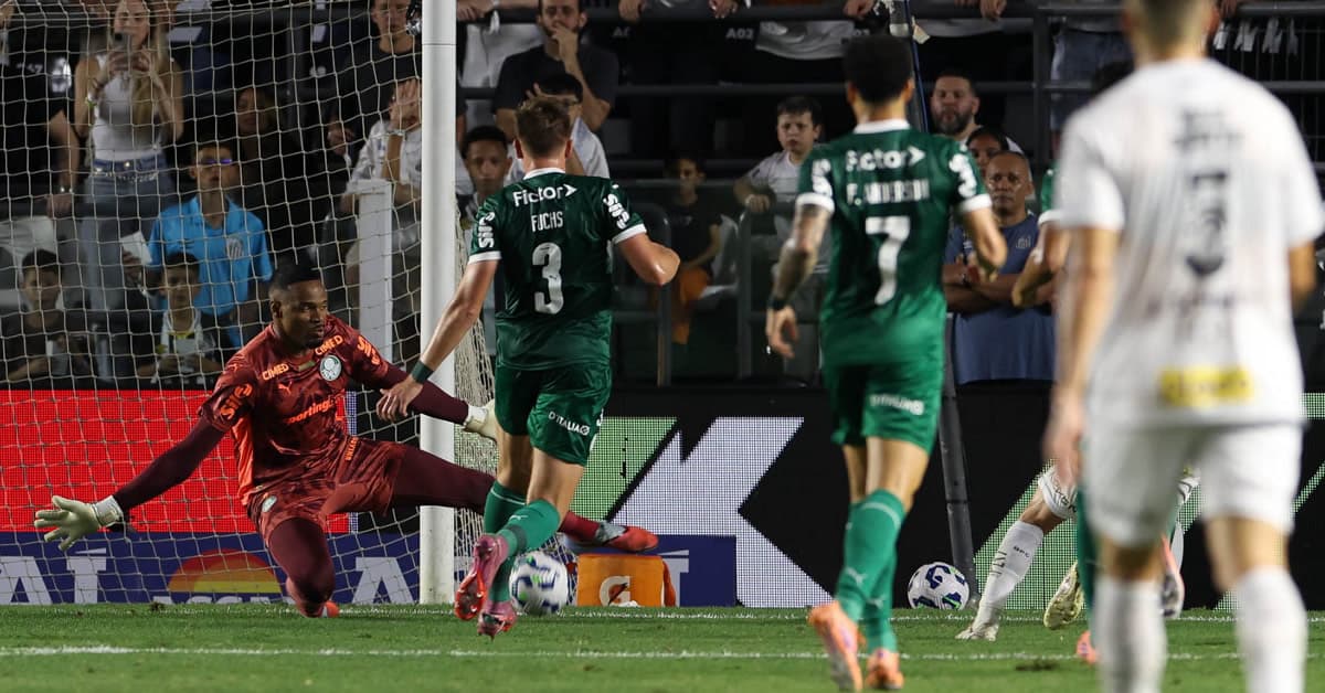 Coluna Catedral de Luz Galope Peregrino PTD