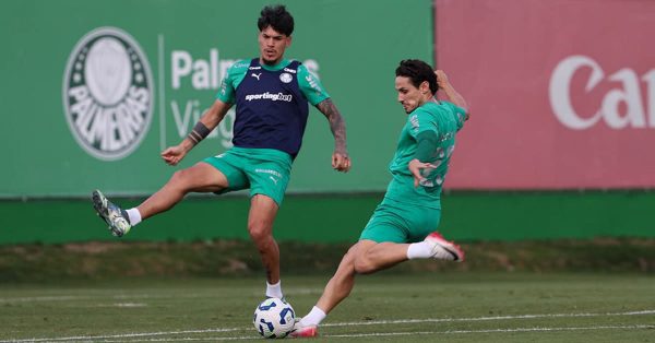 Contra o Fluminense, Palmeiras faz último jogo em casa do ano para seguir vivo no Brasileirão