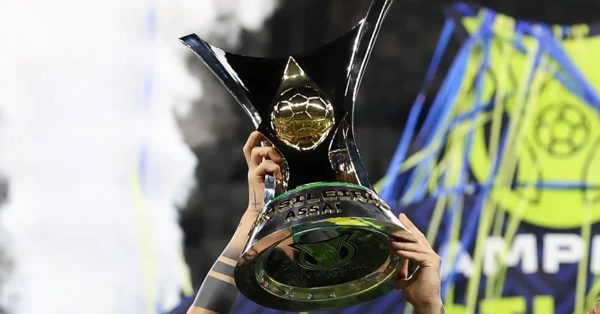 Veja o ranking de títulos nacionais atualizado; Palmeiras lidera