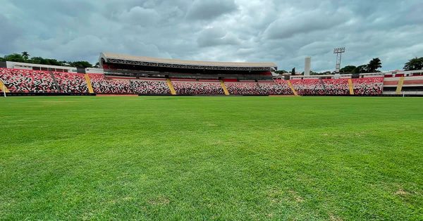 Botafogo-SP x Palmeiras: comente o jogo aqui