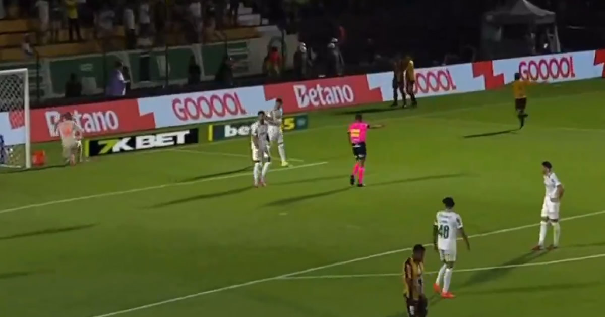 Ficha técnica de Novorizontino 4 x 0 Palmeiras