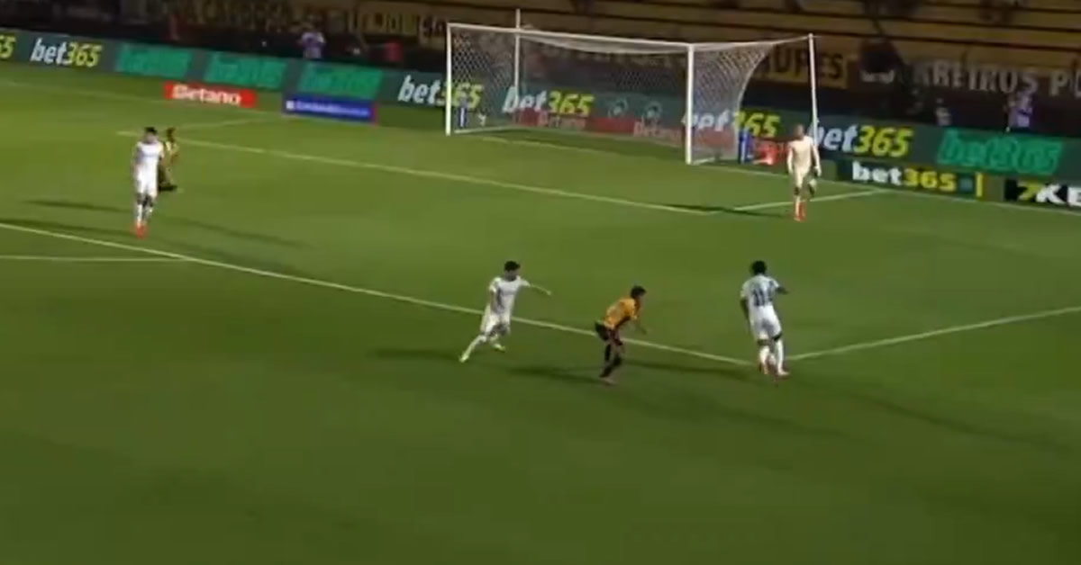 Notas de Novorizontino 4 x 0 Palmeiras