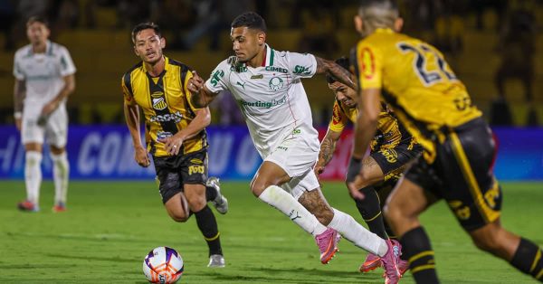 Notas de Novorizontino 4 x 0 Palmeiras