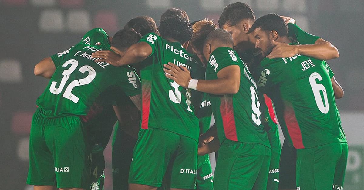 Notas de Botafogo-SP 1 x 0 Palmeiras