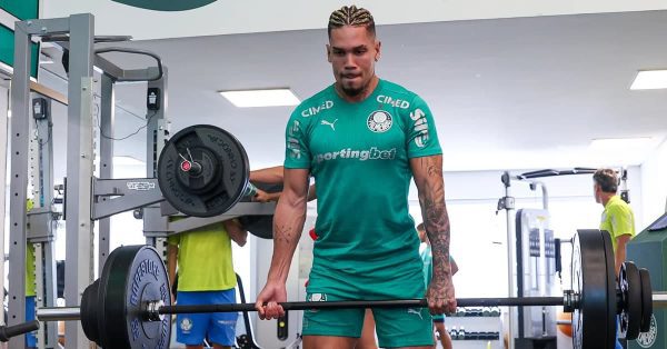 Palmeiras inicia preparação para enfrentar o Inter; Paulinho e Felipe Anderson evoluem