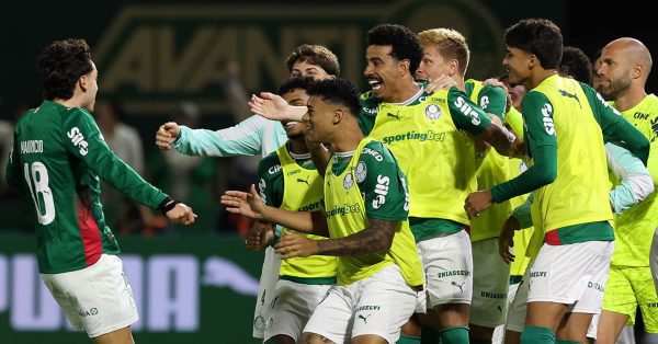 Gramado, pipa, freguesia… Palmeiras tira sarro do São Paulo após classificação