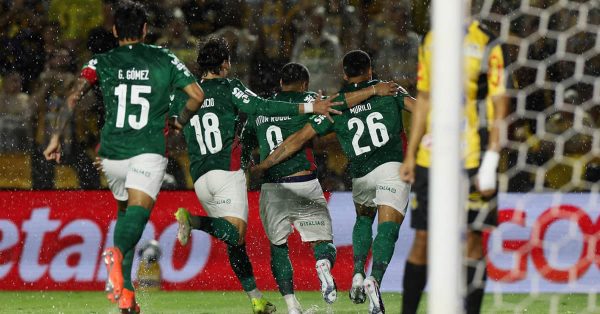Notas de Novorizontino 1 x 2 Palmeiras