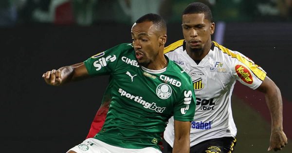 Notas de Palmeiras 1 x 0 Novorizontino