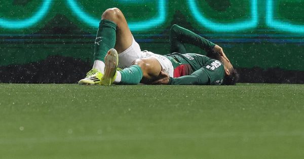 DM lotado: Palmeiras chega a seis jogadores lesionados