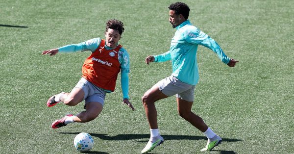 À espera de Arias, Palmeiras treina e agenda mais dois jogos-treino