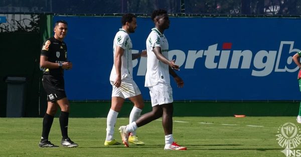 Palmeiras faz jogo-treino caseiro e camaronês se destaca