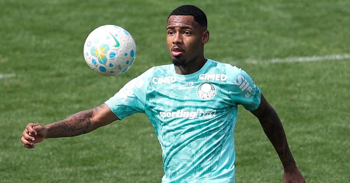 Allan espera Palmeiras mais efetivo contra o Fluminense