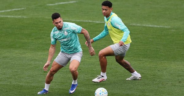 Palmeiras inicia preparação para enfrentar o Santos; Paulinho pode ser reforço