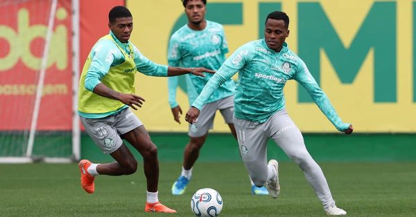 Palmeiras inicia preparação para enfrentar a LDU; Abel terá desfalque