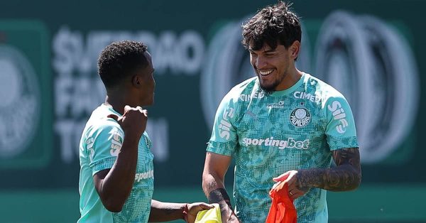 Botafogo x Palmeiras: veja possível escalação com quatro mudanças