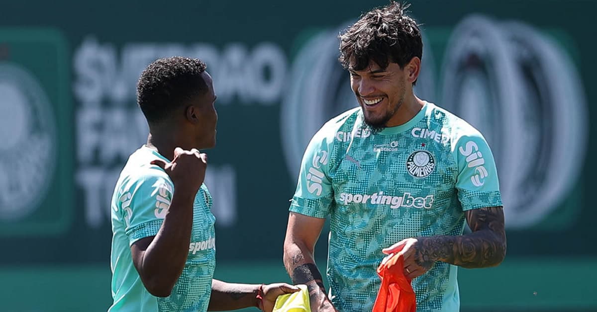 Botafogo x Palmeiras: veja possível escalação com quatro mudanças